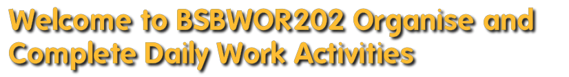 &nbsp;&nbsp;&nbsp; BSBWOR202 Organise and Complete Daily Work Activities